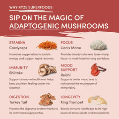 RYZE Mushroom Chai — Organic Instant Chai with Reishi & Organic Black Tea, 20 Servings